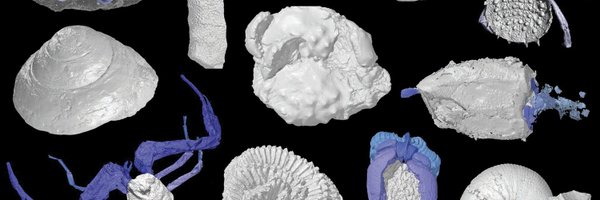 VirtualPalaeo Profile Banner