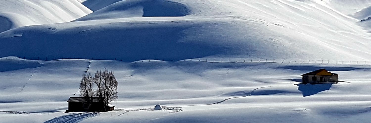 Rohammesi's profile banner image