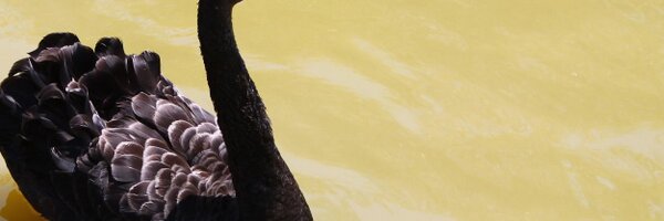 tobyoliver Profile Banner