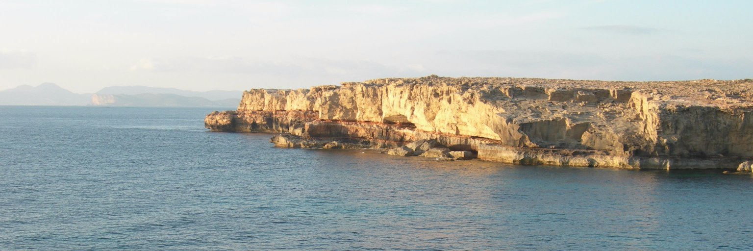 Anna Marquès banner