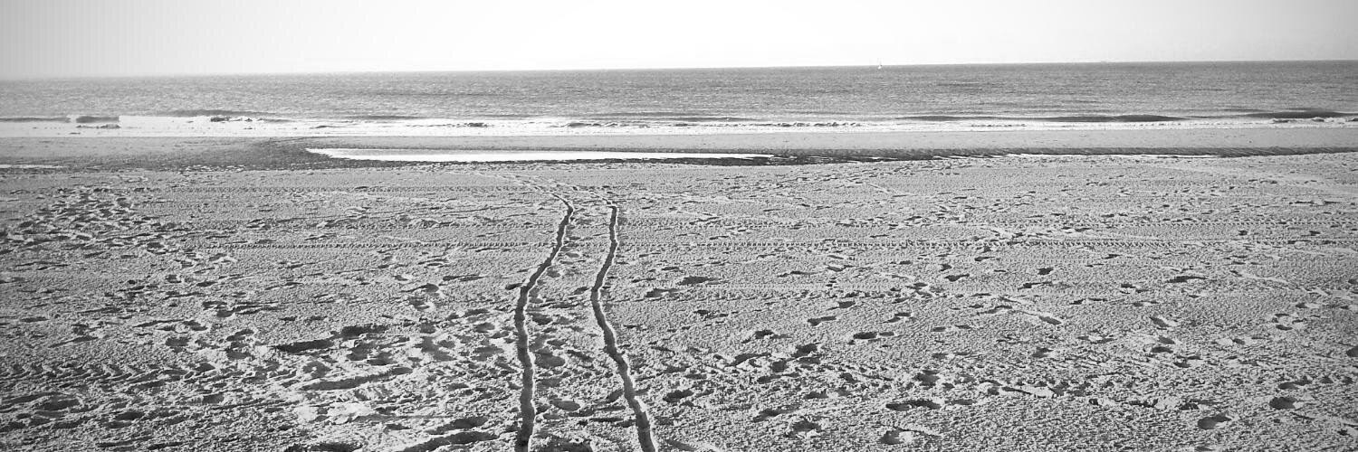 Robert-Jan Mast banner