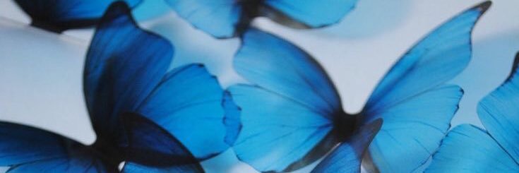 _chelssn's profile banner image