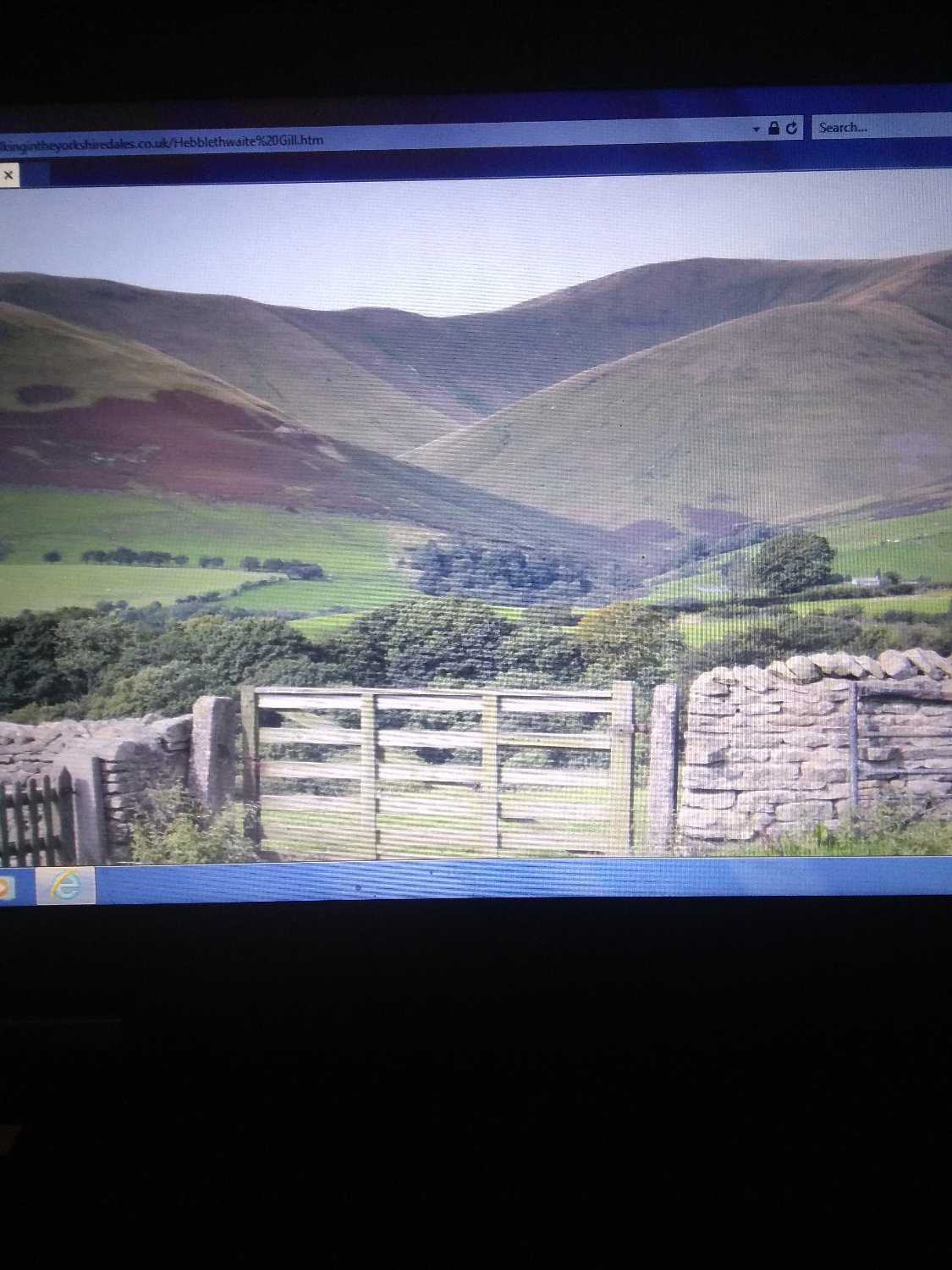 WildyMoor's profile banner image