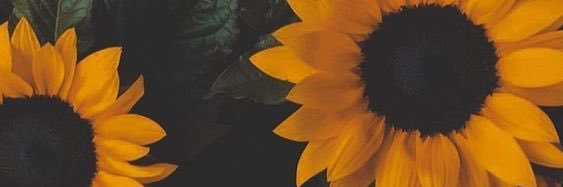 korianneox's profile banner image