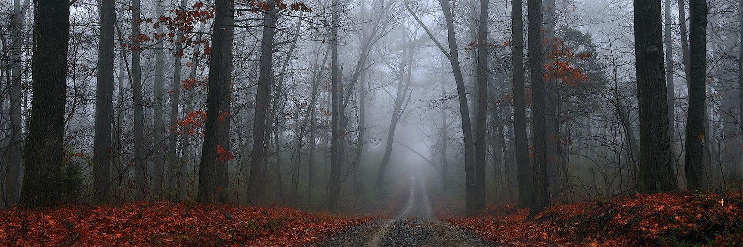 lostinyomi's profile banner image