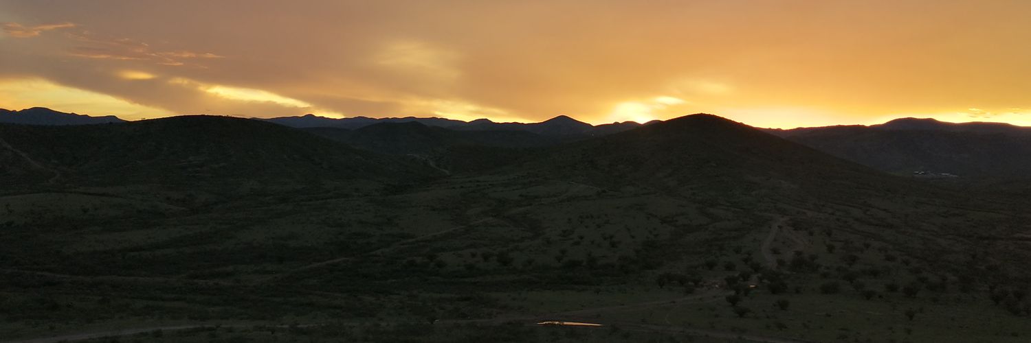 Melyfloress's profile banner image