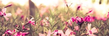 Juliii94913337's profile banner image