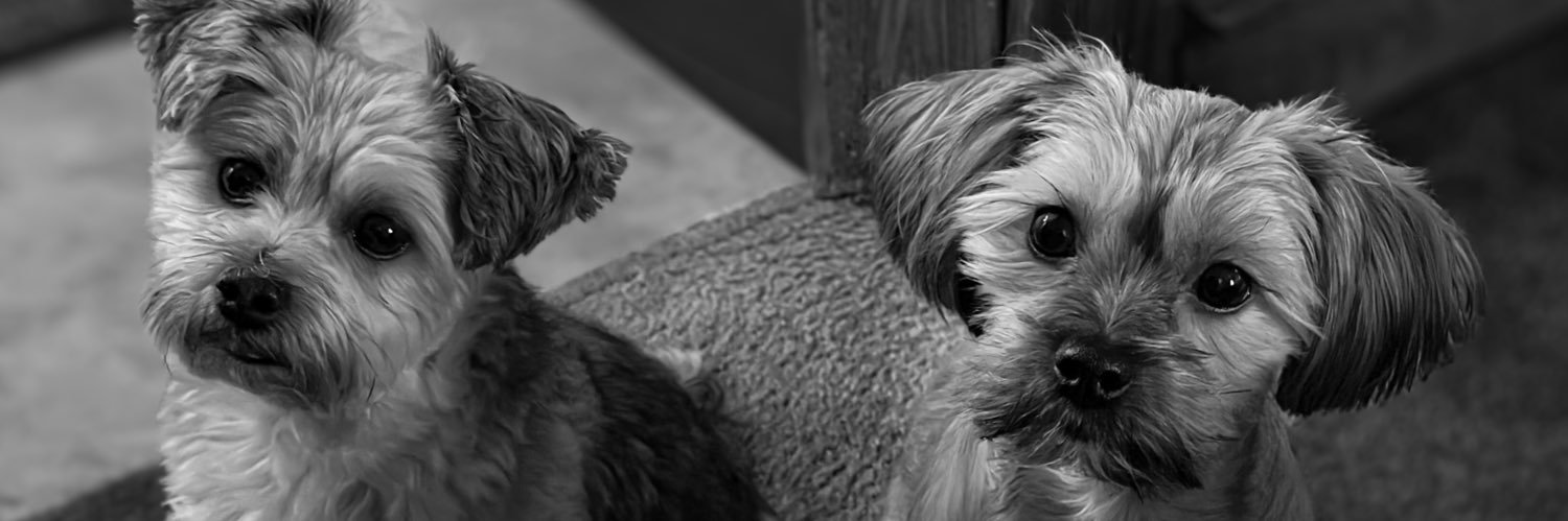 itsdelaneym's profile banner image