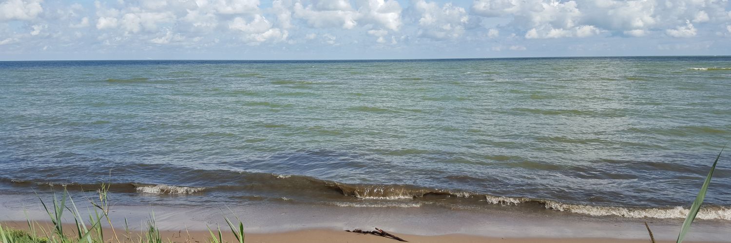 Meemsly313's profile banner image