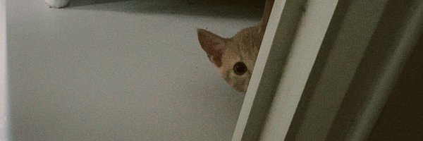 ____huhh Profile Banner