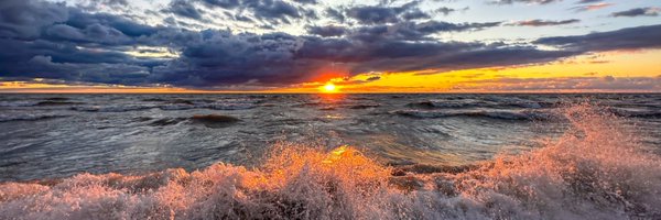 LoonieGuy Profile Banner