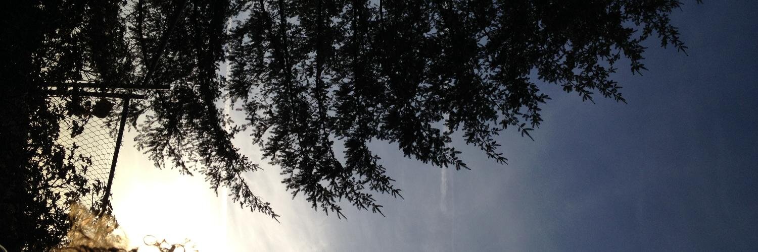 dredcastro's profile banner image