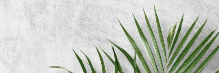 rerahma_'s profile banner image