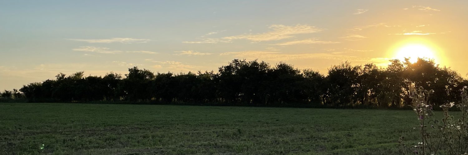 NicoAbraham's profile banner image