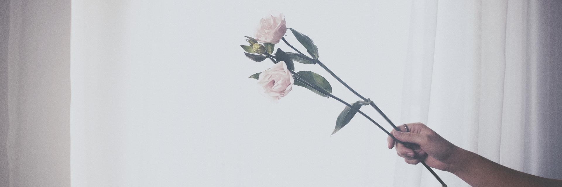 ohsleep_'s profile banner image