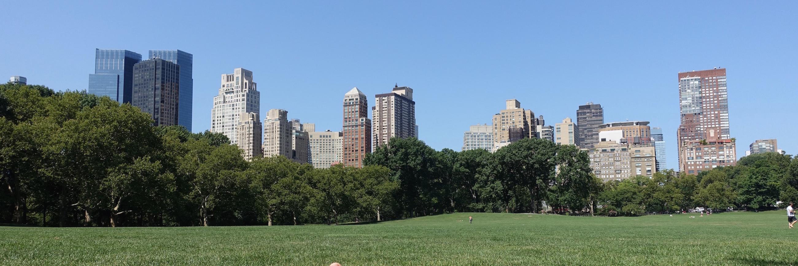 Matthieu Segret banner