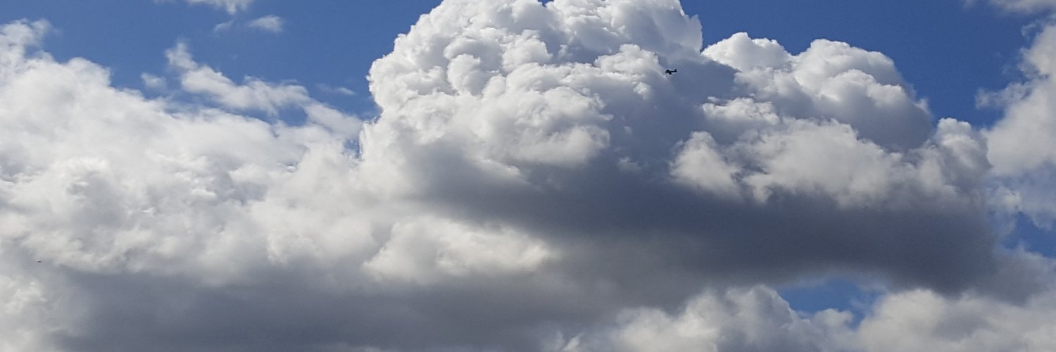 wuddlywho's profile banner image