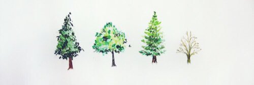 mmccaf's profile banner image