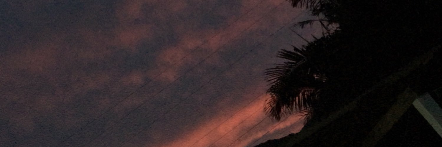 LairaScheffer's profile banner image
