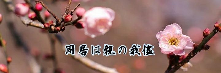 Lapule1122's profile banner image