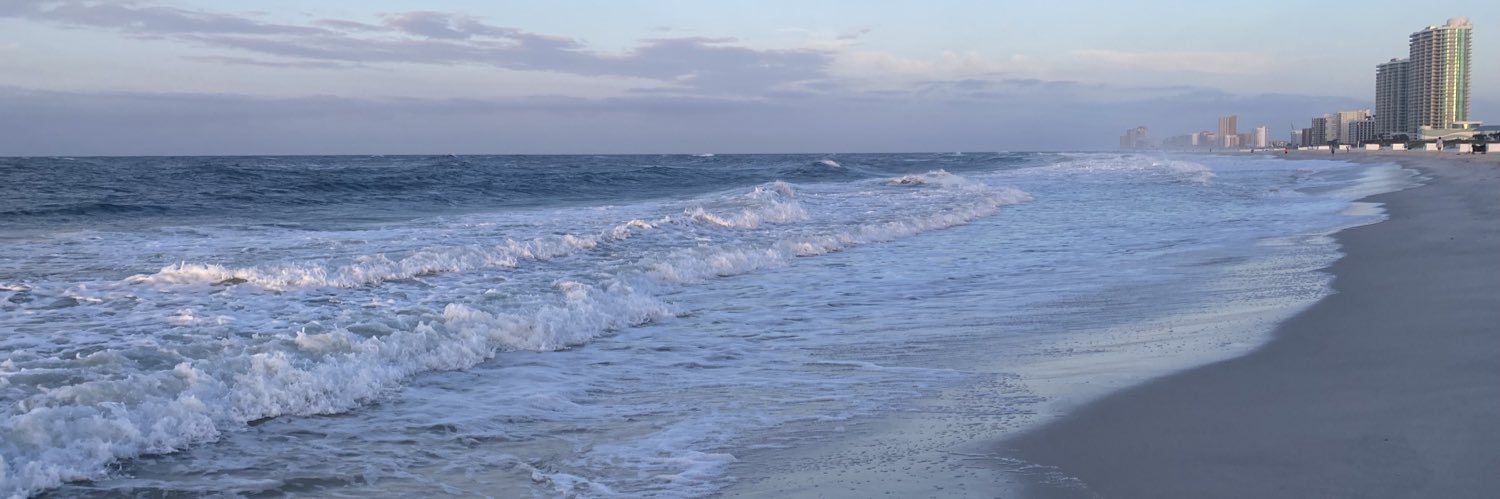 pfl0ydd's profile banner image
