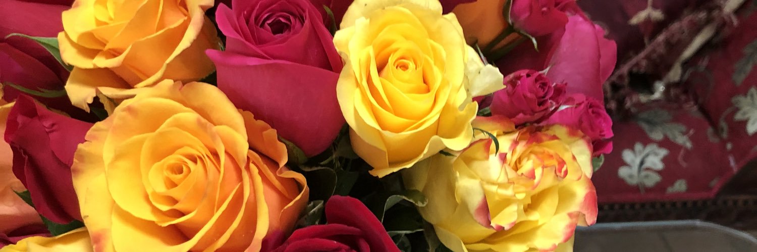 Prof. CBD “Wachera” banner