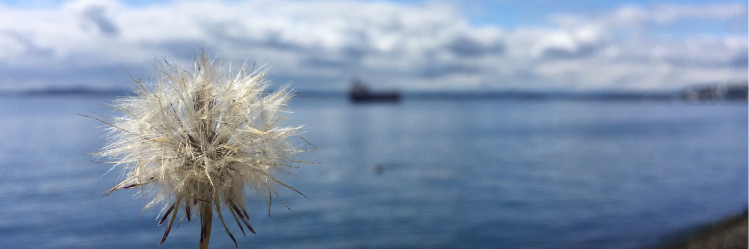 Sara Gershfeld banner