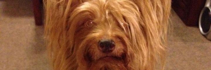 patriciaflore68's profile banner image