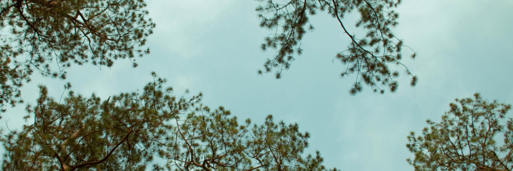 rad_gerald's profile banner image