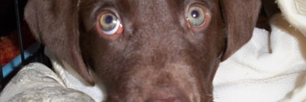 bill_spindler's profile banner image