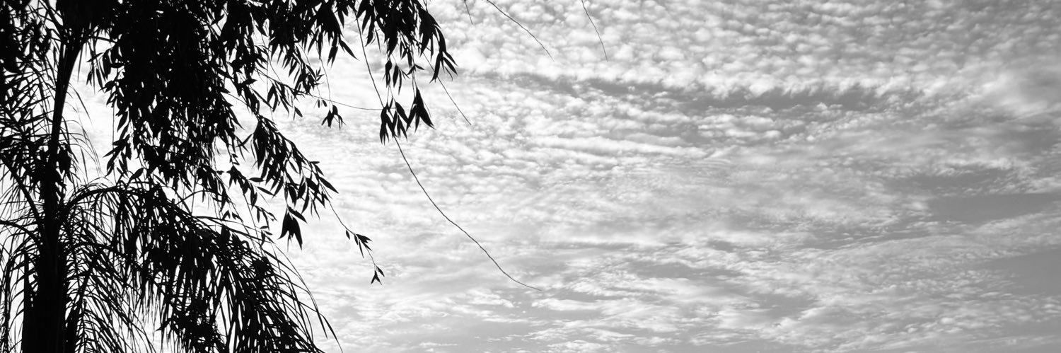 BriMoreyra's profile banner image