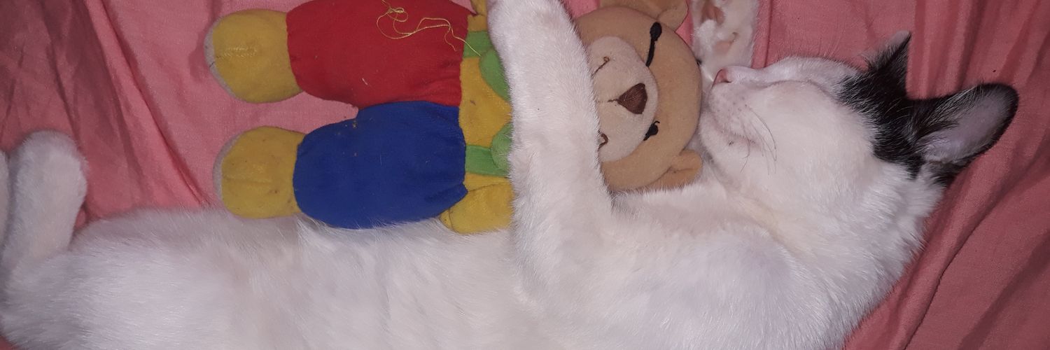 Natimena24's profile banner image