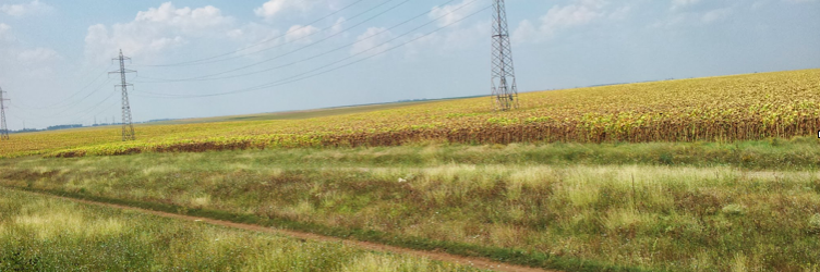 Embedli_HQ's profile banner image