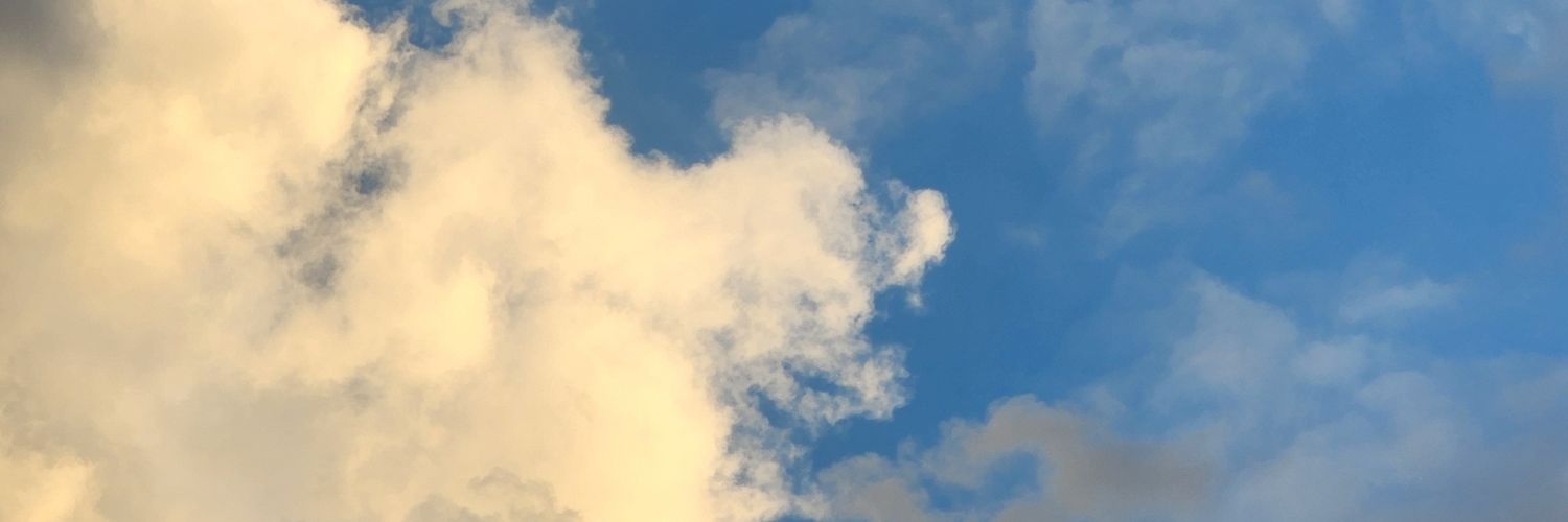 calusaretha's profile banner image
