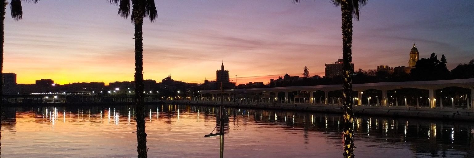 Eva Sánchez. banner