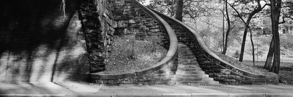 Langston Blues banner