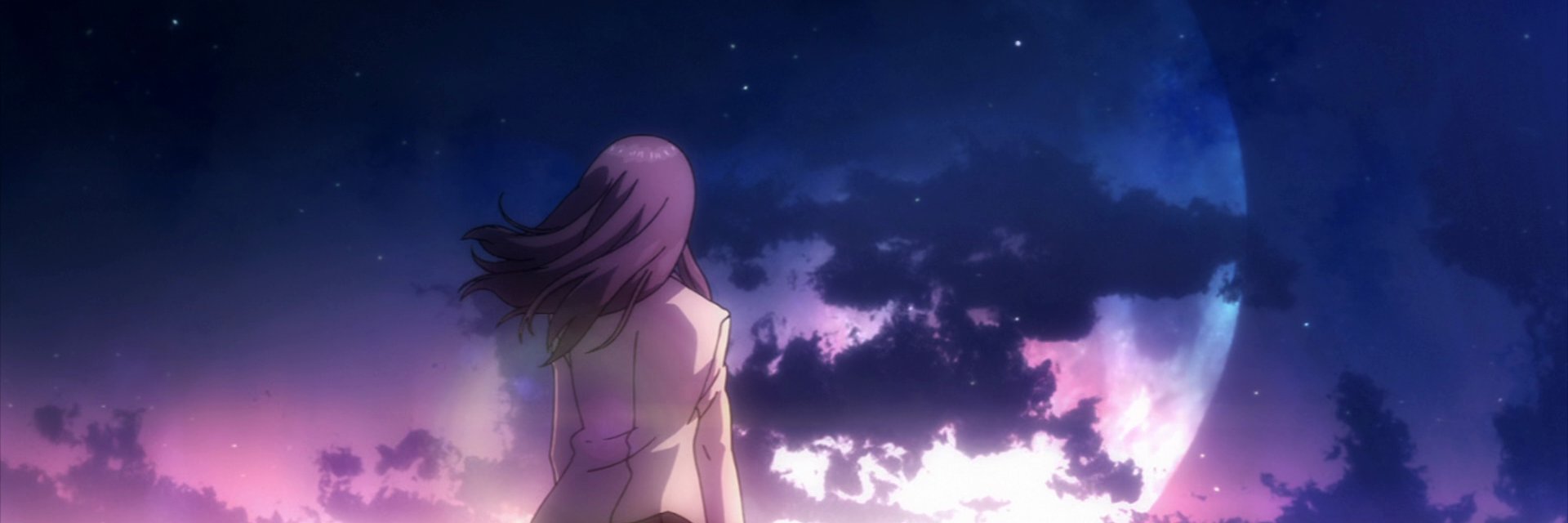 Lys Lily Rose banner