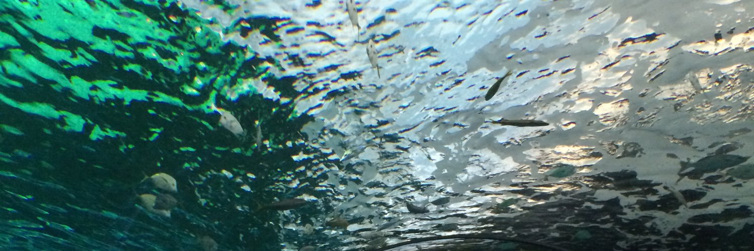 kaybodnarr's profile banner image