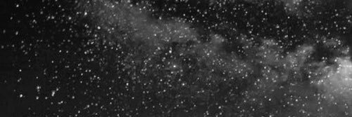 LostInTalahasse's profile banner image