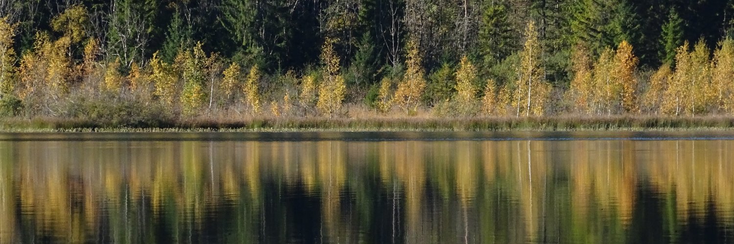 OnceUponaSK's profile banner image