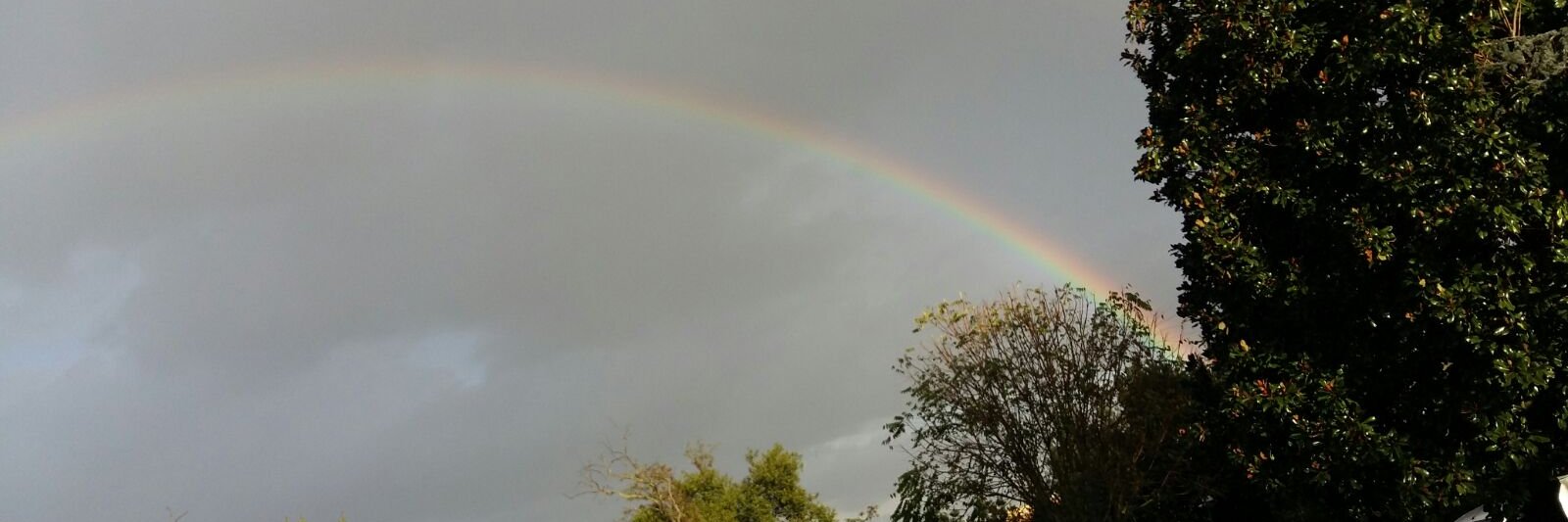 Maria Maranò banner