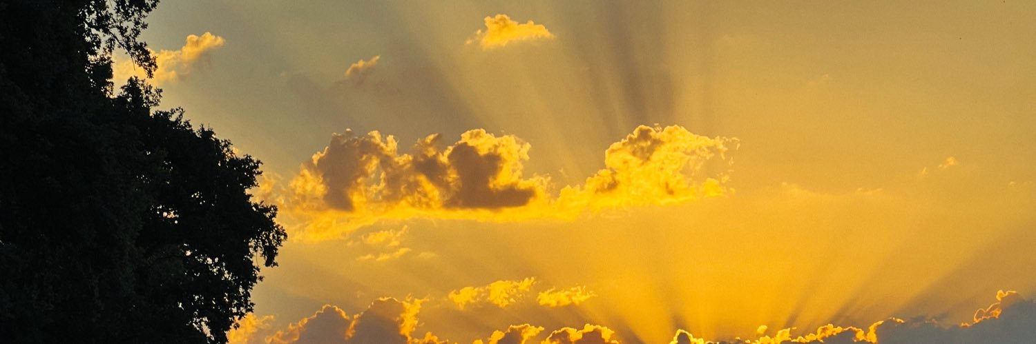 Nik_Web's profile banner image