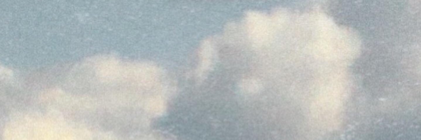 evaigh's profile banner image