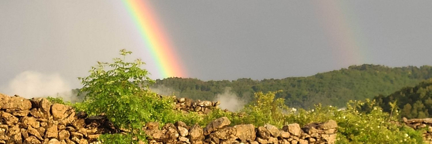 ecorrons's profile banner image