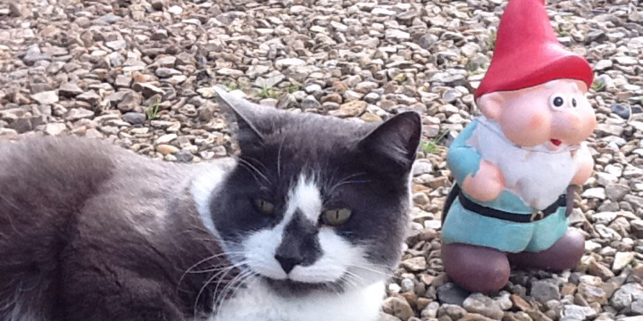NGnome's profile banner image