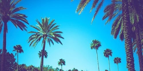 Gerardo2296's profile banner image