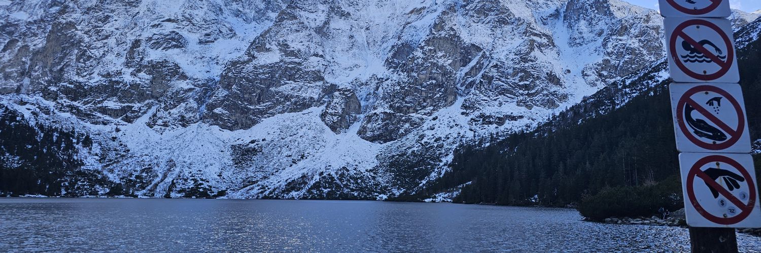 🅰LFONS B🅰TYR banner