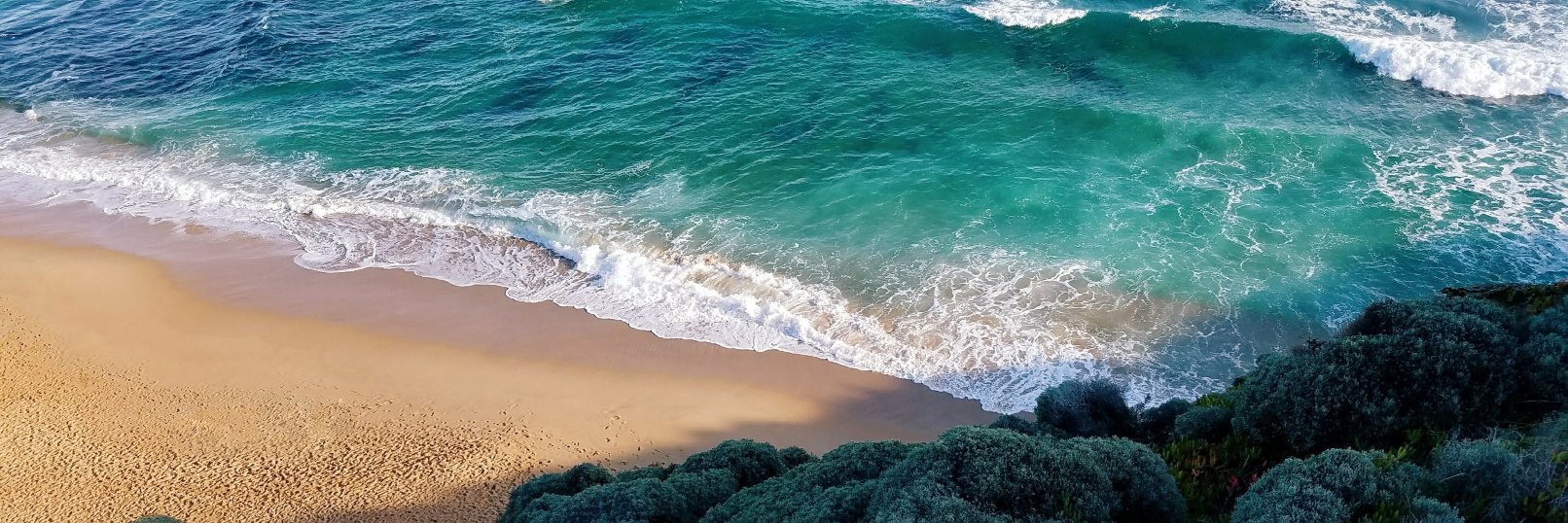 Sophie Wauquier banner