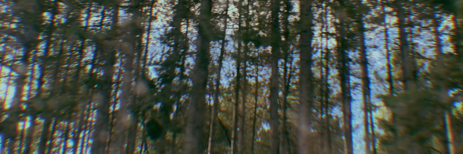 harmfulpride_'s profile banner image