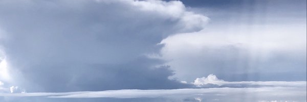 KristineOlsonMD Profile Banner